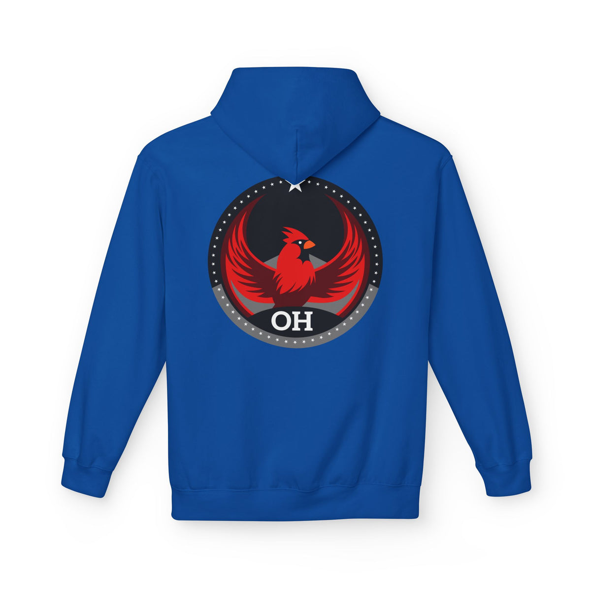Bird Rebels Midweight Softstyle Fleece Hoodie – OH – Dark