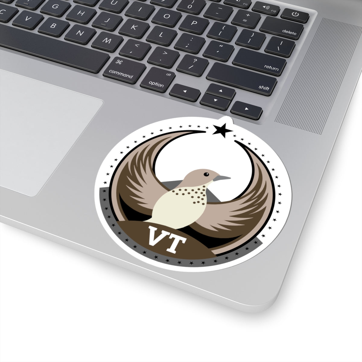 Vermont Hermit Thrush Light Kiss-Cut Sticker | Bird Rebels VT Community Pride Decal