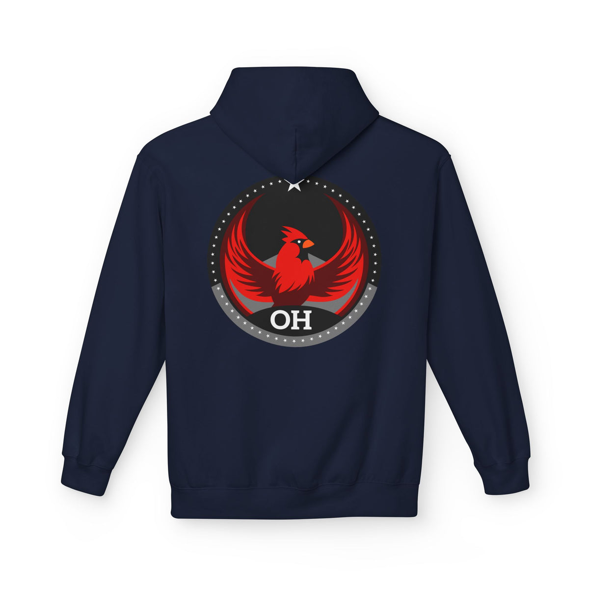 Bird Rebels Midweight Softstyle Fleece Hoodie – OH – Dark
