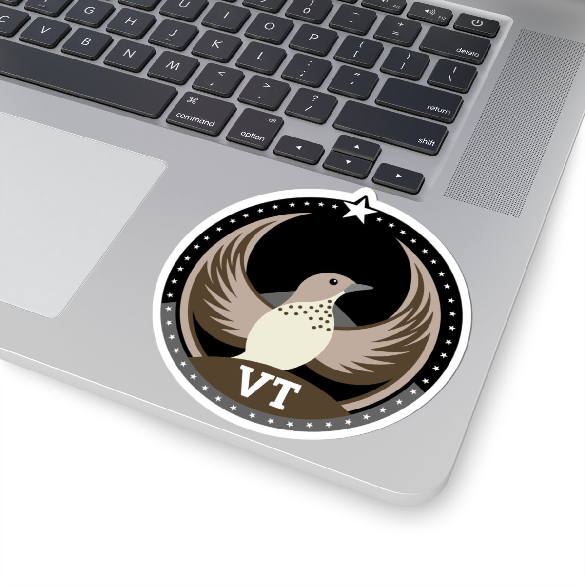 Vermont Hermit Thrush Dark Kiss-Cut Sticker | Bird Rebels VT Community Pride Decal