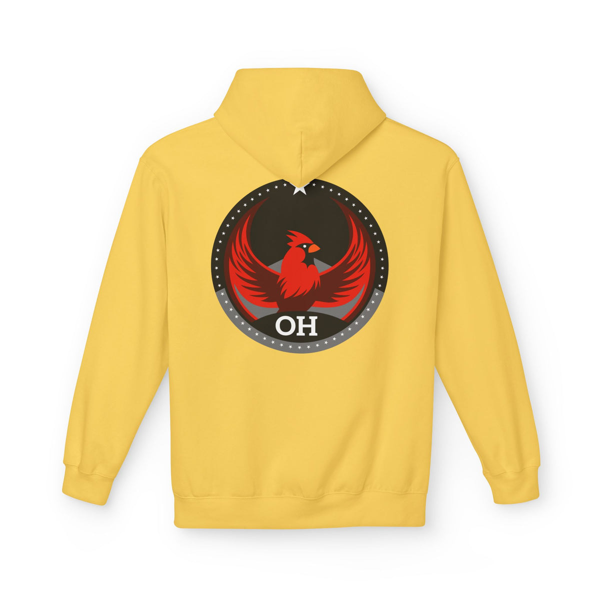 Bird Rebels Midweight Softstyle Fleece Hoodie – OH – Dark