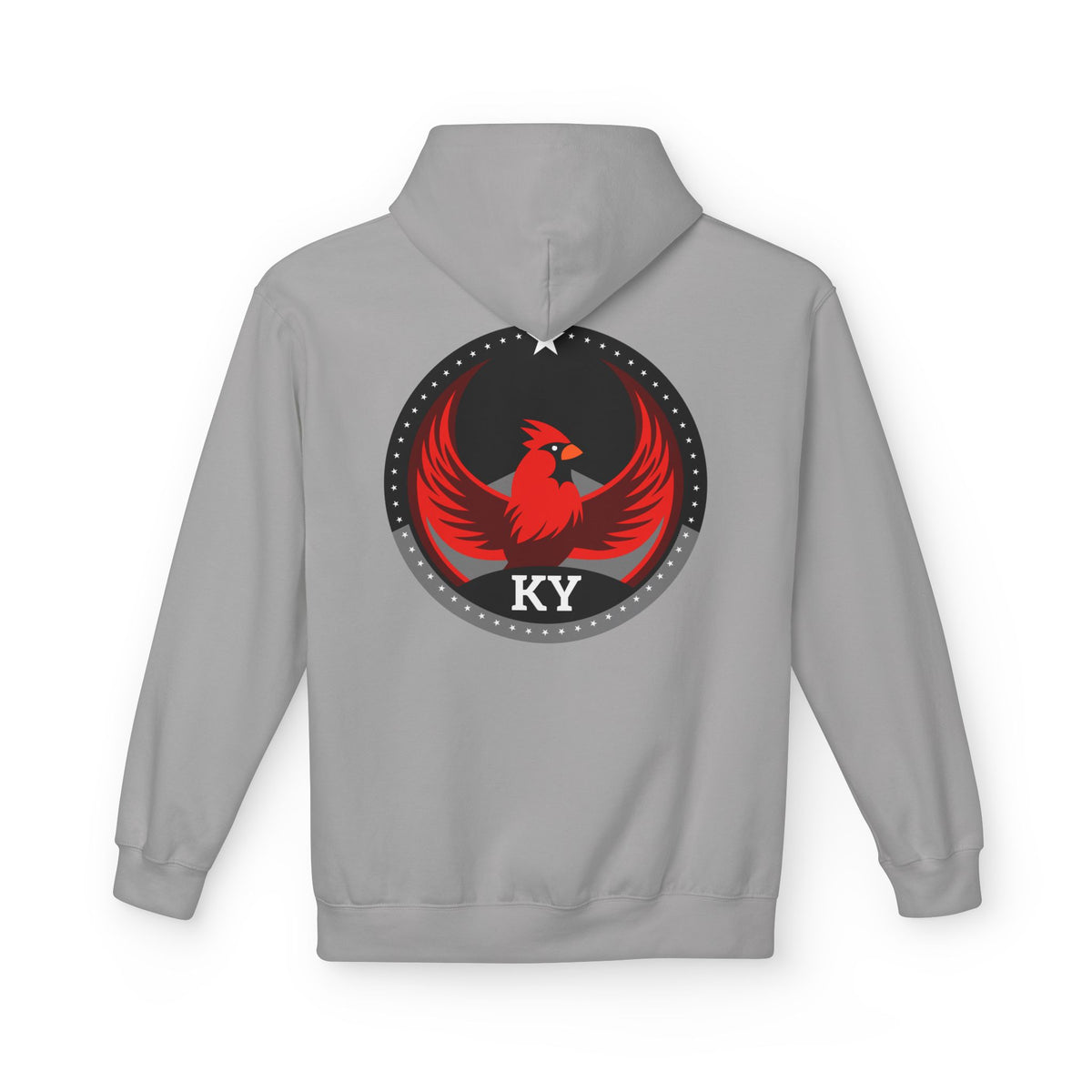 Bird Rebels Midweight Softstyle Fleece Hoodie – KY – Dark