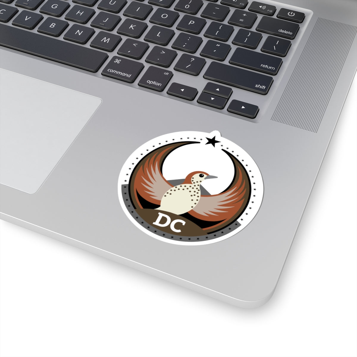 District of Columbia Wood Thrush Light Kiss-Cut Sticker | Bird Rebels DC Community Pride Decal