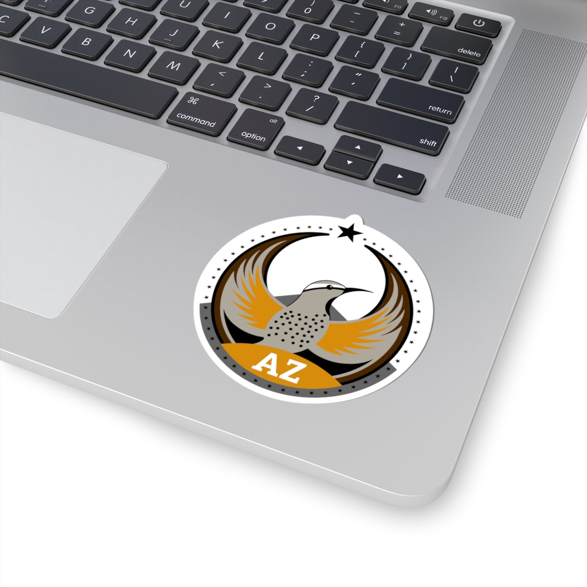 Arizona Cactus Wren Light Kiss-Cut Sticker | Bird Rebels AZ Community Pride Decal