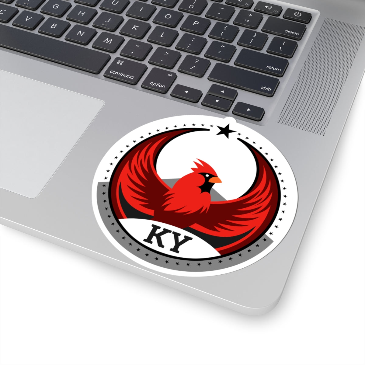 Bird Rebels Kiss-Cut Stickers – KY – Light