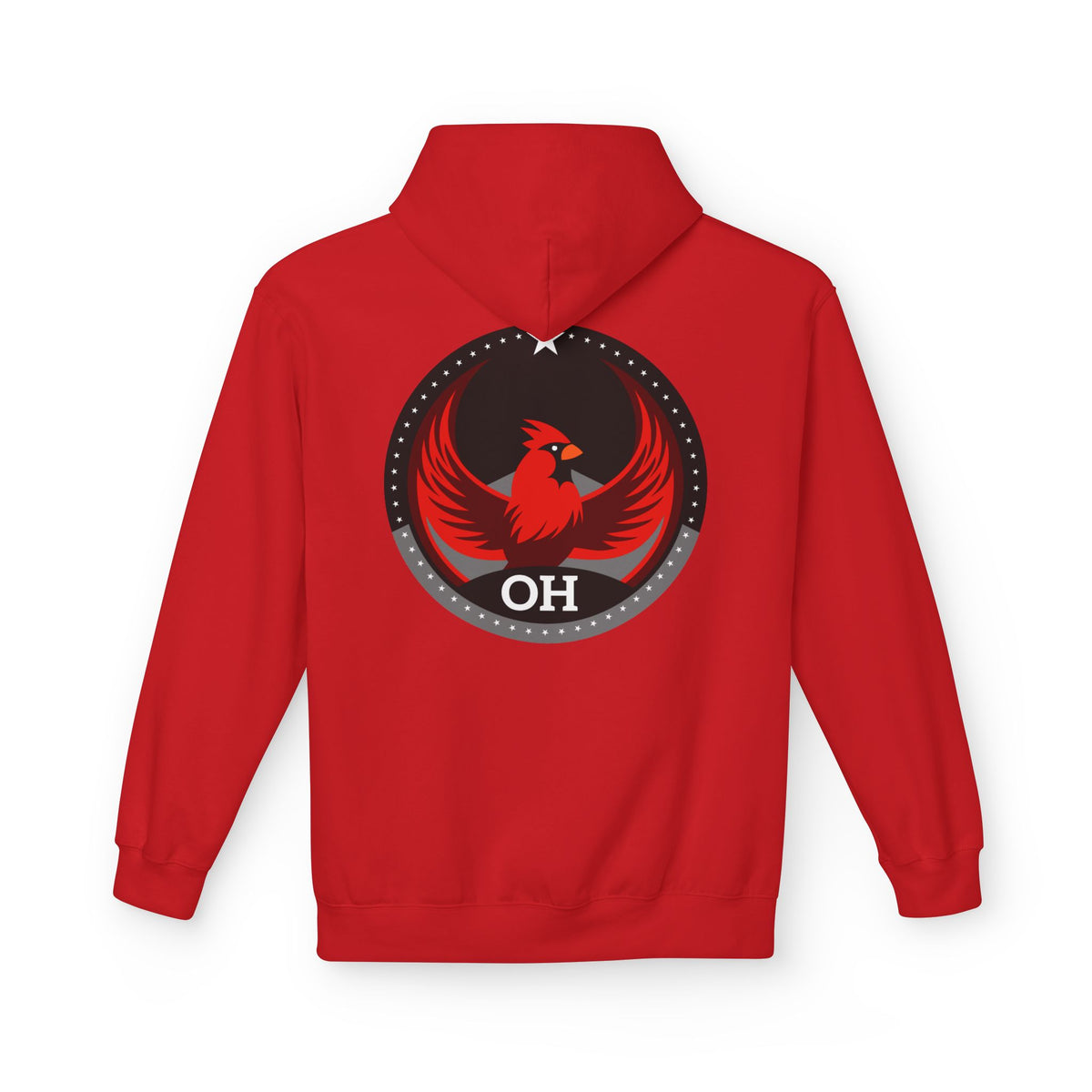 Bird Rebels Midweight Softstyle Fleece Hoodie – OH – Dark