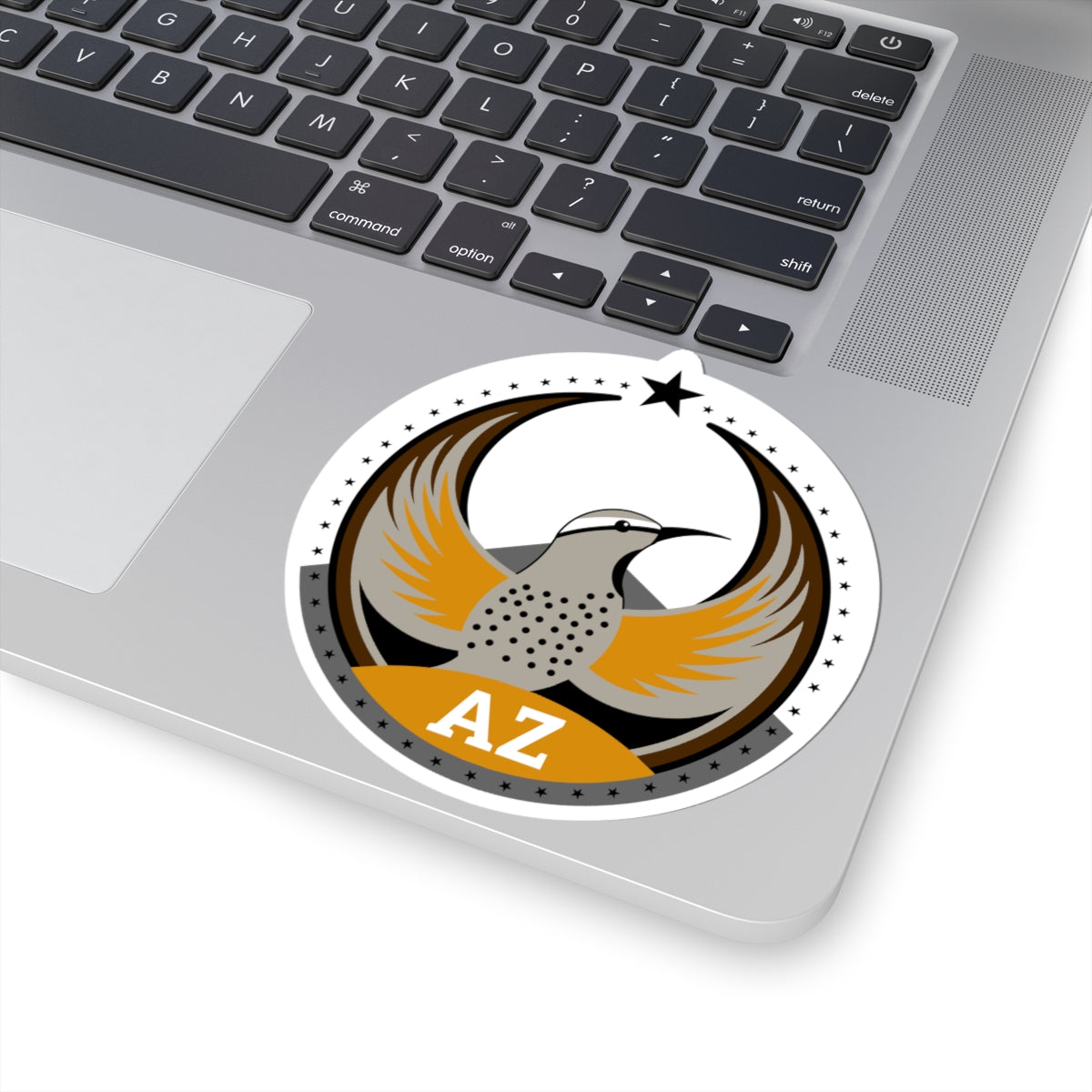Arizona Cactus Wren Light Kiss-Cut Sticker | Bird Rebels AZ Community Pride Decal