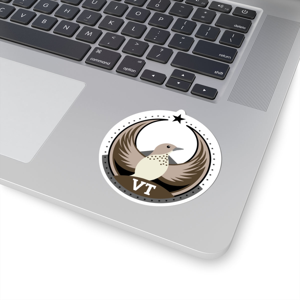Vermont Hermit Thrush Light Kiss-Cut Sticker | Bird Rebels VT Community Pride Decal