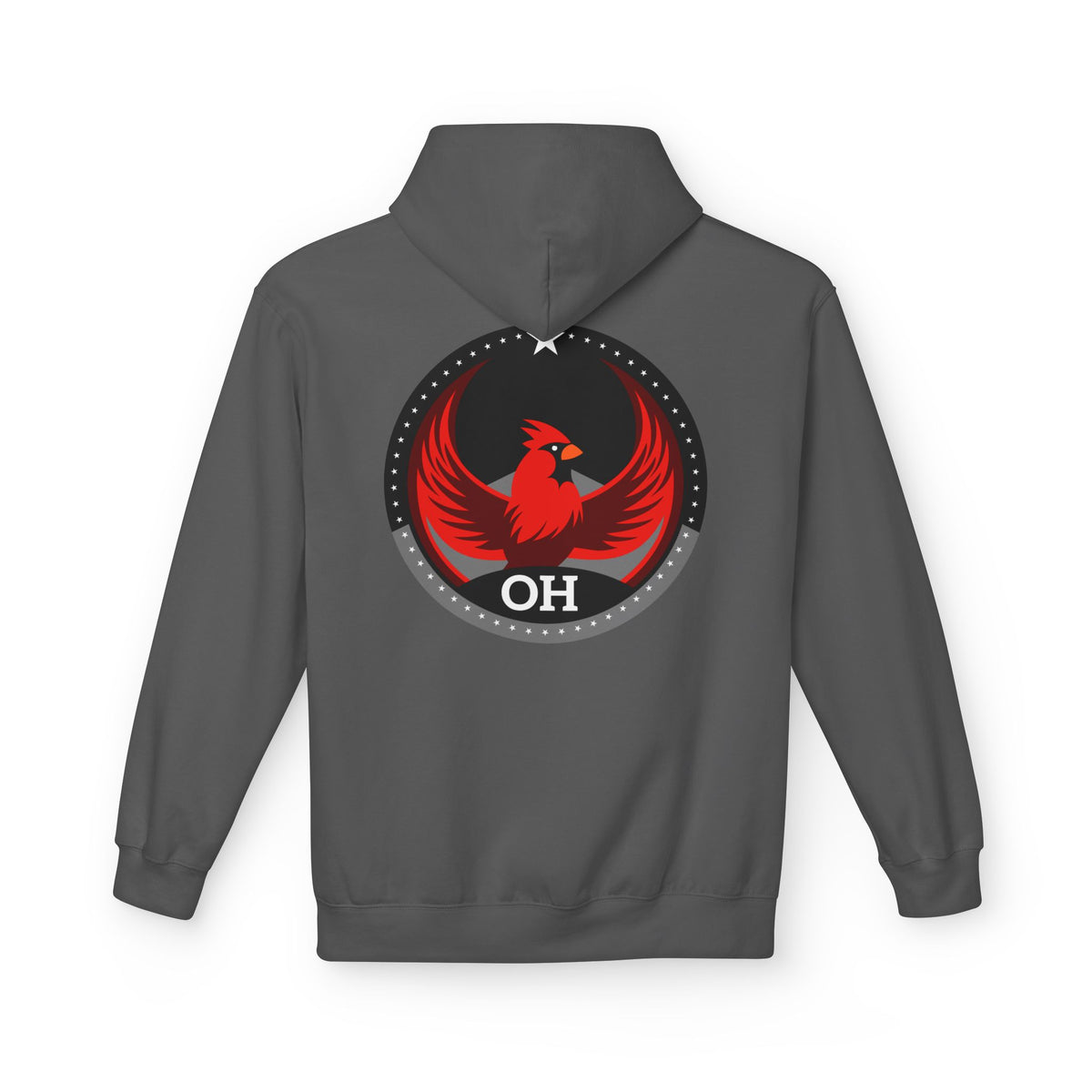 Bird Rebels Midweight Softstyle Fleece Hoodie – OH – Dark