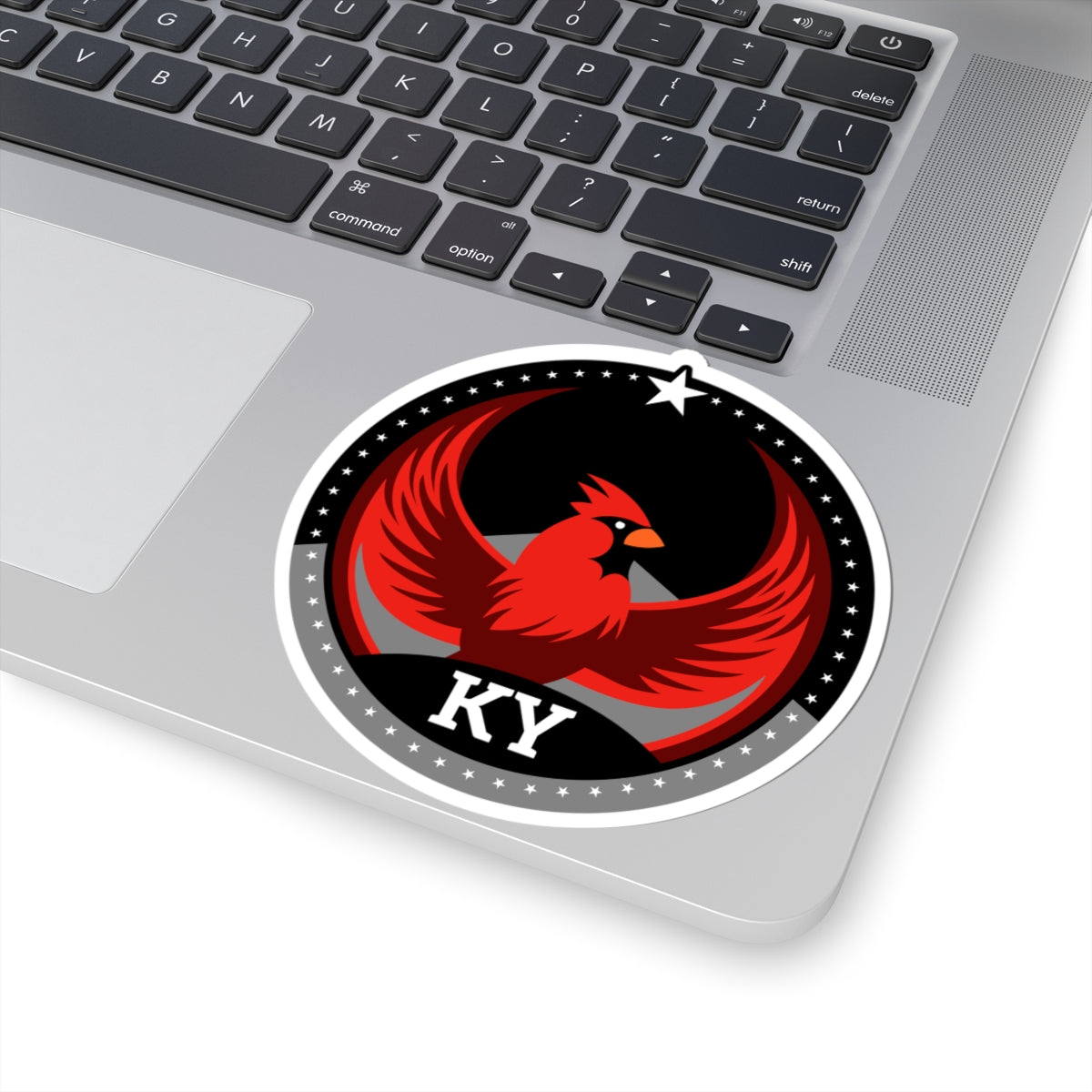 Bird Rebels Kiss-Cut Stickers – KY – Dark