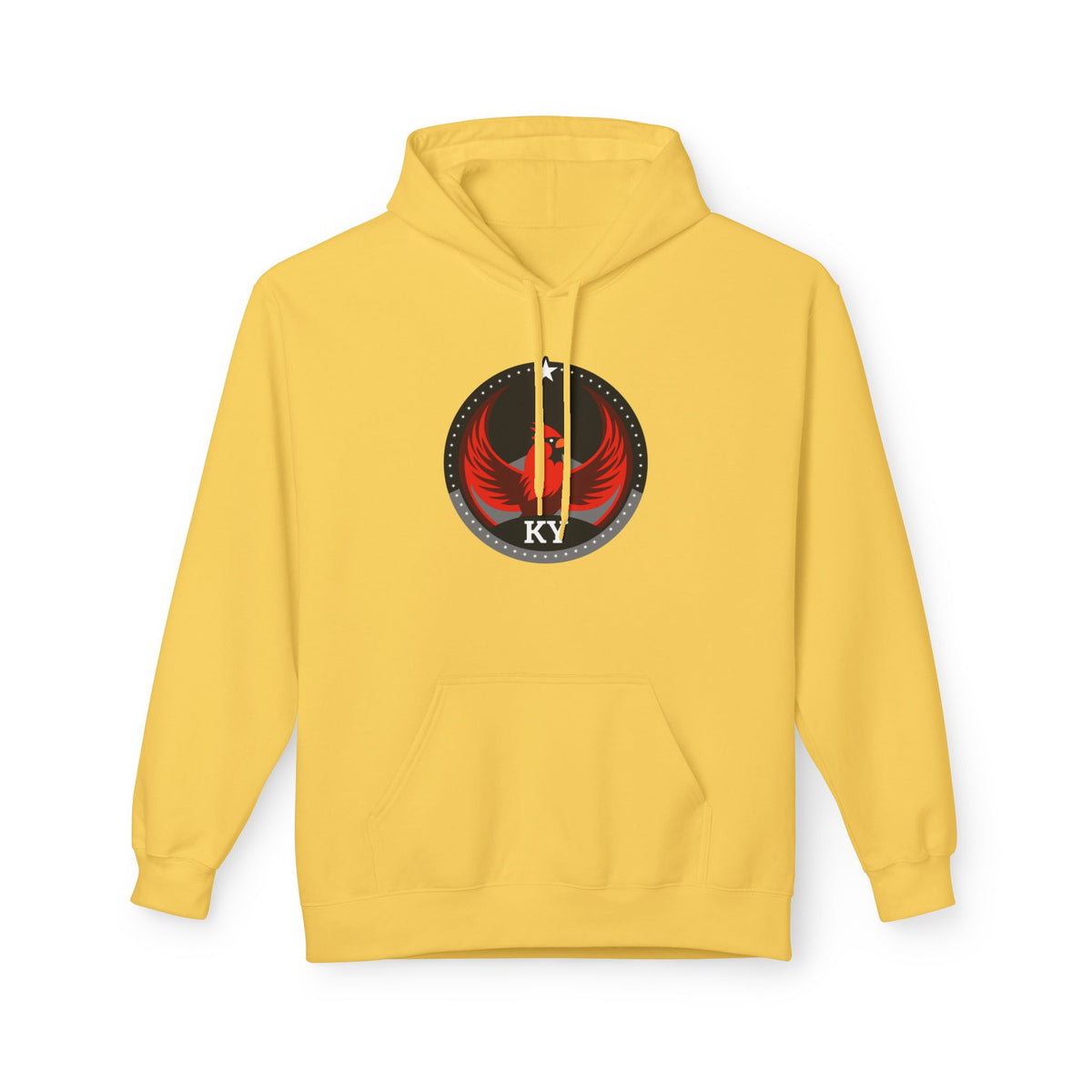 Bird Rebels Midweight Softstyle Fleece Hoodie – KY – Dark