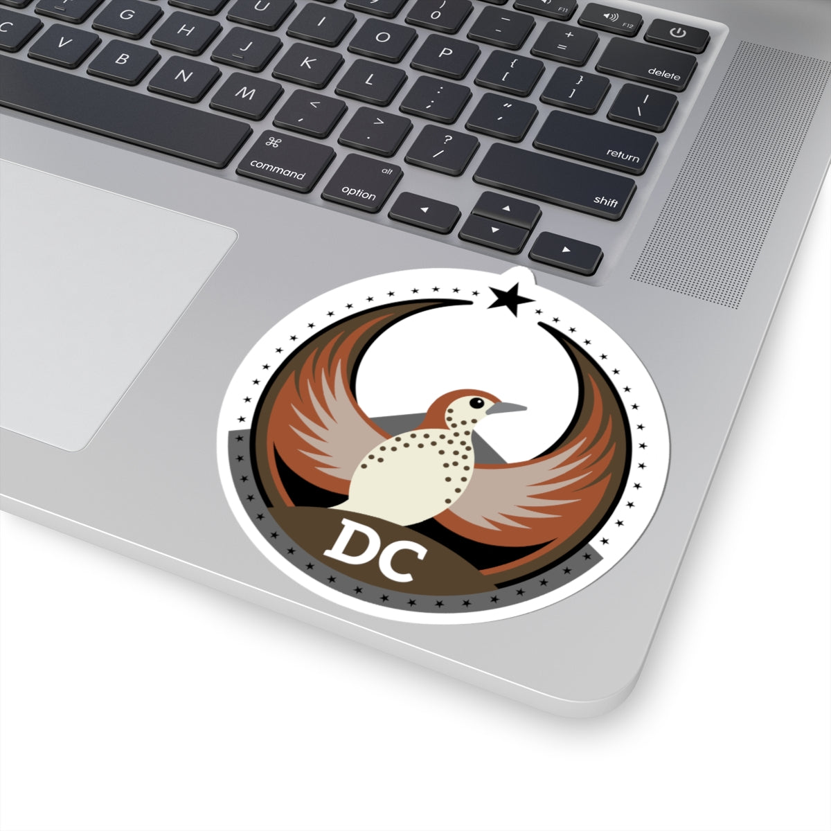 District of Columbia Wood Thrush Light Kiss-Cut Sticker | Bird Rebels DC Community Pride Decal