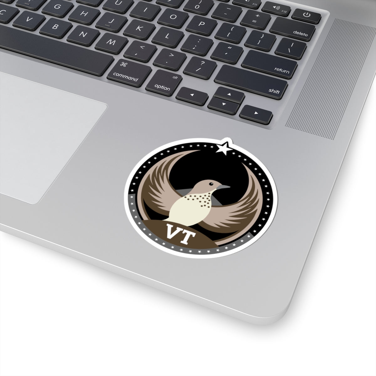 Vermont Hermit Thrush Dark Kiss-Cut Sticker | Bird Rebels VT Community Pride Decal
