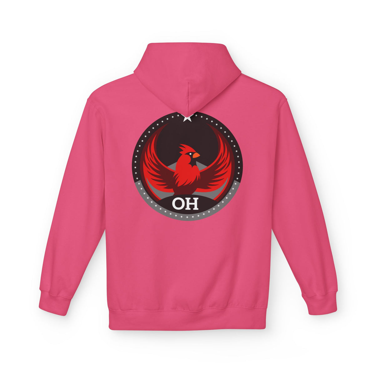 Bird Rebels Midweight Softstyle Fleece Hoodie – OH – Dark