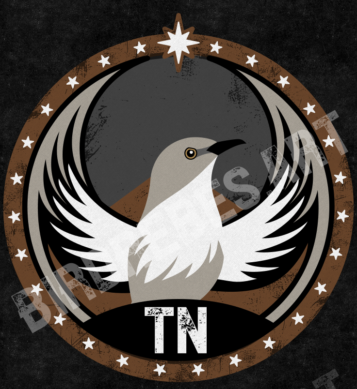 Tennessee Mockingbird Rebel - All Power to the People - DIGITAL DOWNLOAD PACK - TN - Bird Rebels